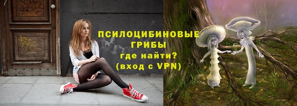 mdpv Арсеньев